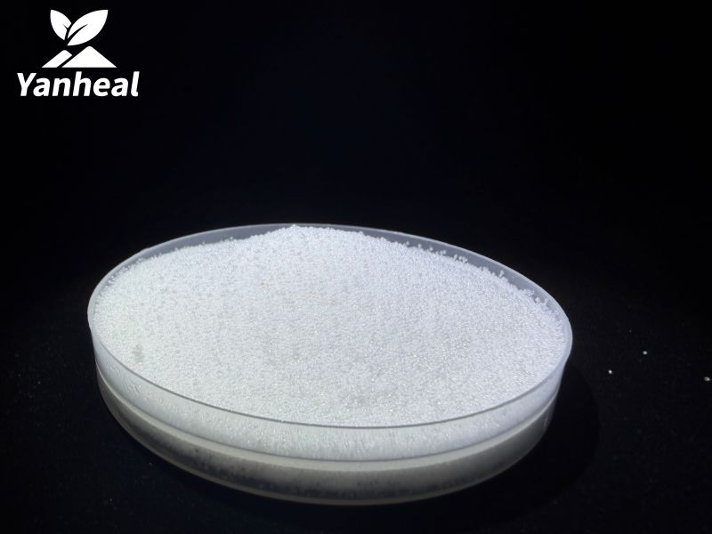 Microspheres for Tile Adhesive - Yanheal 380 (magnification)